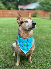 Ball is Life Tie on Dog Bandana
