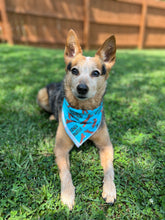 Branch Manager Tie on Dog Bandana