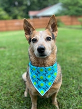 Ball is Life Tie on Dog Bandana