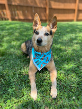 Branch Manager Tie on Dog Bandana