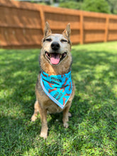 Branch Manager Tie on Dog Bandana