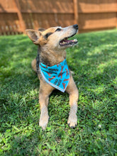 Branch Manager Tie on Dog Bandana