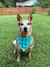 Ball is Life Tie on Dog Bandana