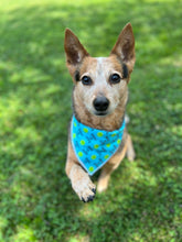Ball is Life Tie on Dog Bandana