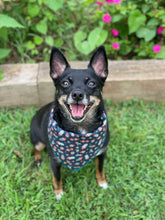 Tie On Prickly Pear Dog Bandana