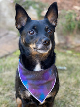Stargazer Tie on Dog Bandana