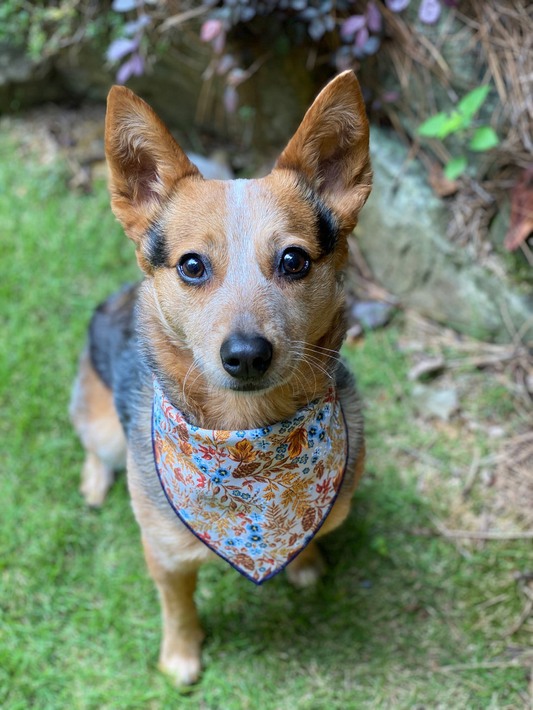 Tie On Fall Floral Dog Bandana