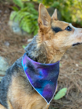 Stargazer Tie on Dog Bandana
