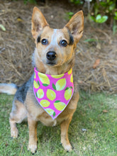 Tie on Pink lemonade ๐ Dog Bandana