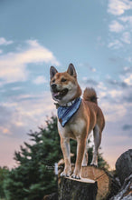 Indigo dreams tie on Dog Bandana