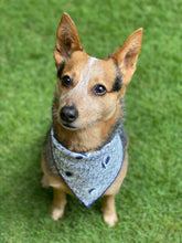 Tie on Shark Bite Dog Bandana