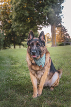 Happy Camper Tie on Dog Bandana