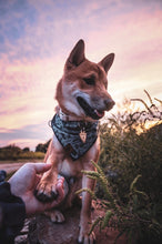 Adventure Seeker Arrowhead Dog Tag