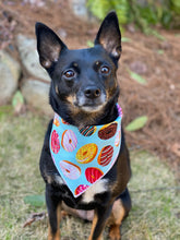 All the Donuts 🍩 Tie on Dog Bandana