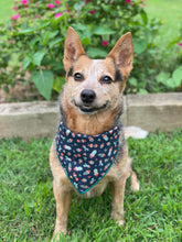 Tie On Prickly Pear Dog Bandana