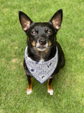 Tie on Shark Bite Dog Bandana