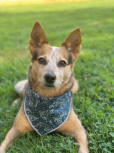 Adventure Nights Blue Tie on Dog Bandana