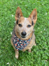 Tie on Mushrooms ๐ Dog Bandana