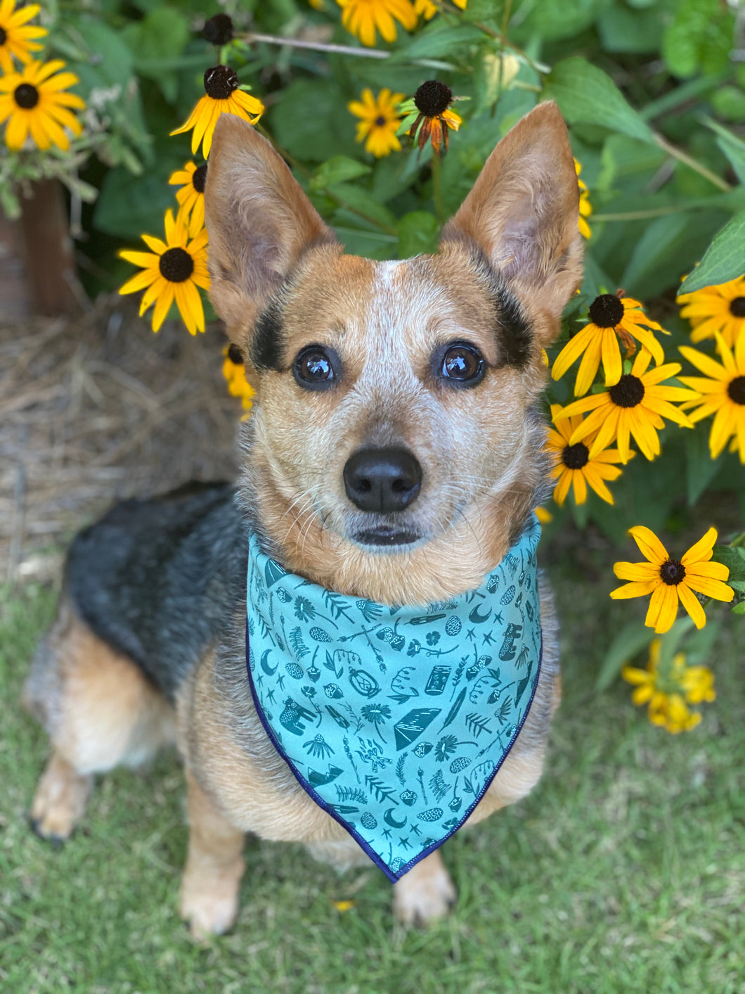 Happy Camper Tie on Dog Bandana