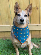 Campfire tie on Dog Bandana