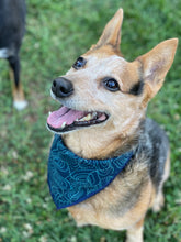 ToPAWgraphic tie on Dog Bandana
