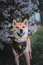 Tree Hugger 🌲 tie on Dog Bandana