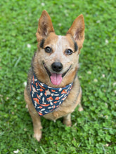 Tie on Mushrooms ๐ Dog Bandana