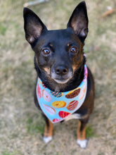 All the Donuts 🍩 Tie on Dog Bandana