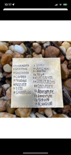 Desert cactus Arrowhead Dog Tag