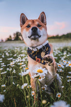 Tree Hugger 🌲 tie on Dog Bandana
