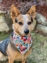 Tie on Garden Party Dog Bandana