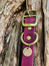 Vegan Leather Dog Collars 1" - Brass