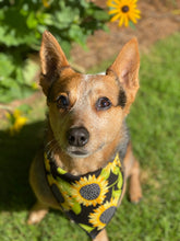 Tie on Sunflower 🌻 Dog Bandana