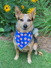 Tie on Georgia Peach ๐ Dog Bandana