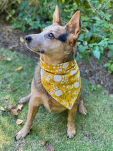 Tie On Fall Marigold Dog Bandana