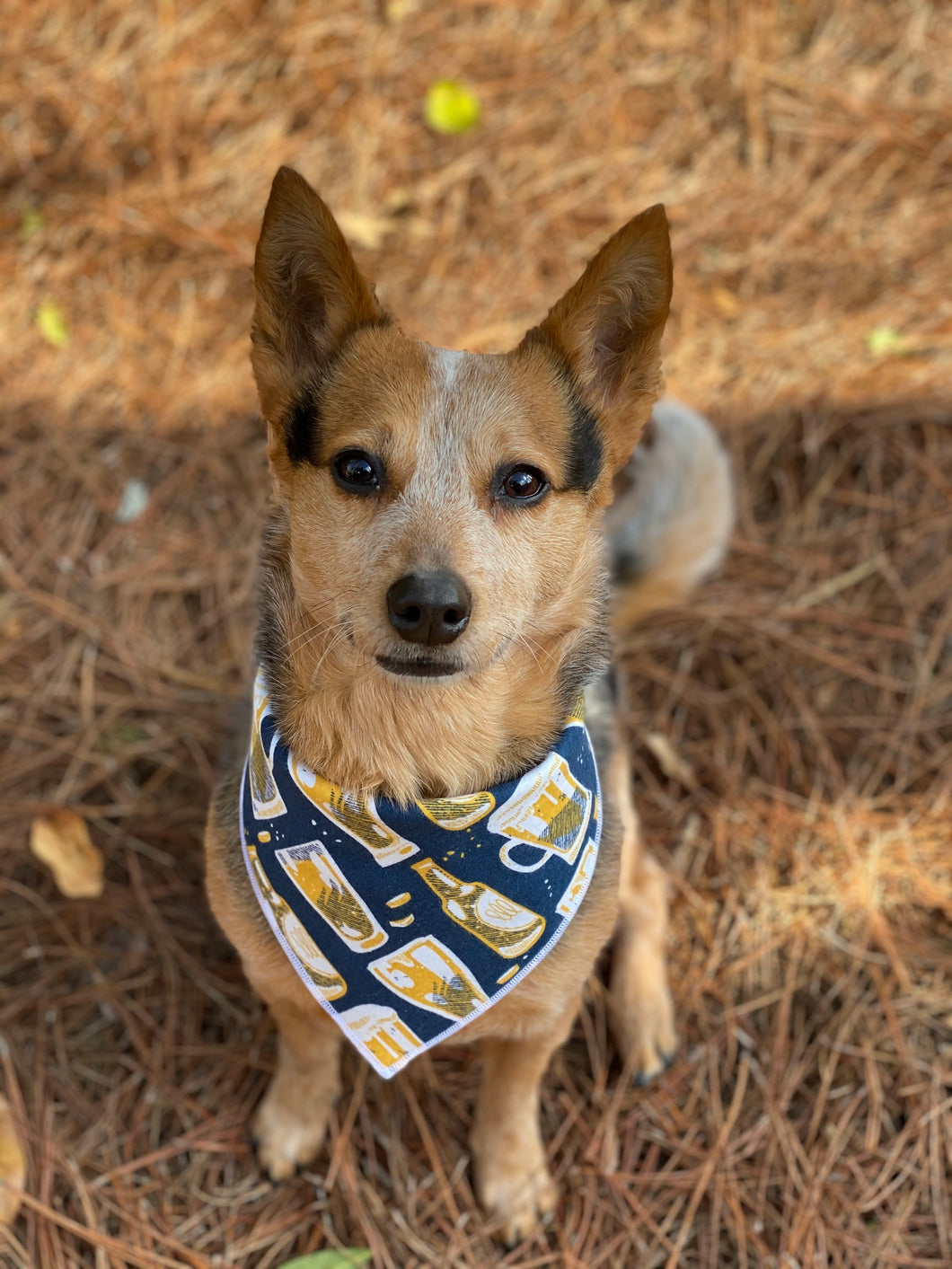 Tie on Happy Hour 🍻 Dog Bandana