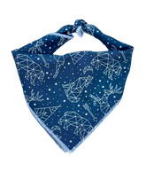 Adventure Nights Blue Tie on Dog Bandana