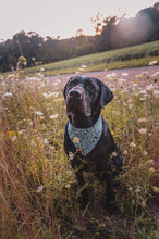 Happy Camper Tie on Dog Bandana