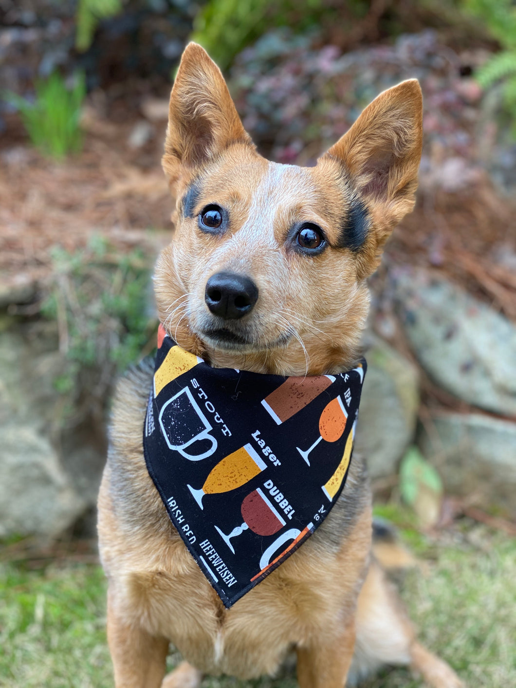 Tie on Cheers for Beers 🍻 Dog Bandana