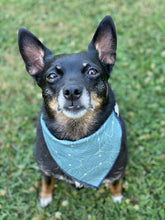 X marks the spot tie on Dog Bandana