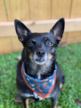 Forest Friends Tie on Dog Bandana
