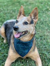 ToPAWgraphic tie on Dog Bandana