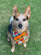 Sedona tie on Dog Bandana