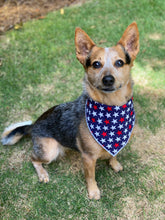 Tie on Patriotic Dog Bandana