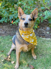 Tie On Fall Marigold Dog Bandana