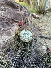 Canyon Dog Tag