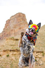Sonoran tie on Dog Bandana