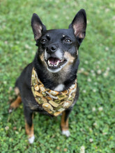 Camper Badges tie on Dog Bandana
