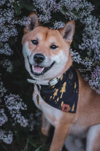 Tree Hugger 🌲 tie on Dog Bandana