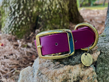 Vegan Leather Dog Collars 1" - Brass